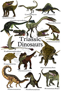Triassic 恐龙图片