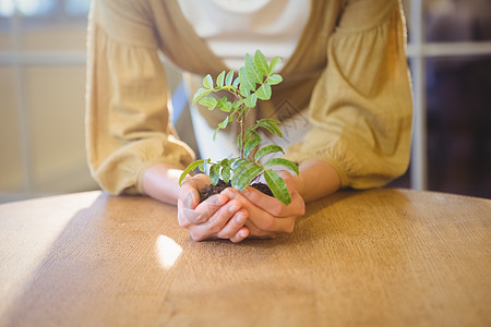 女商务人士展示了工厂人士职场女性计算机植物桌子旋转商务微笑数字图片