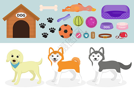 狗的东西图标集与配件为 petsflat 风格隔离在白色背景上 与一起收集的家畜 小狗玩具 矢量插图剪贴画食物兽医房子商店宠物补图片