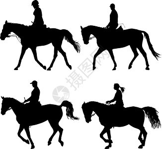 设置马和 jocke 的矢量剪影良种荒野插图马术鬃毛哺乳动物白色野马农场自由图片