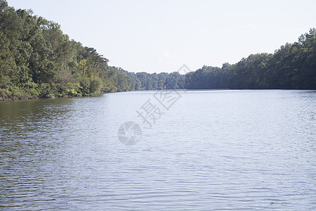 美丽的湖岸地平线树木环境风景公园假期边缘城市日光季节图片