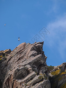 Morro 岩石海湾远足支撑家庭冲浪旅行海岸蓝色天空海洋太阳图片