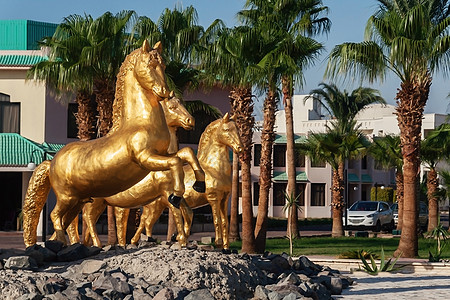 巴塞罗那W酒店三匹马的金雕像 在棕榈树背景上天空手掌太阳石头纪念碑花园旅行酒店艺术文化背景