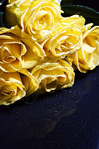 一束黄玫瑰花朵 在黑暗背景上放滴子植物蓝色反射橙子感情礼物情人宏观火花装饰图片