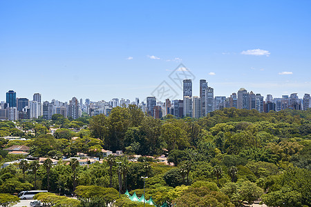 巴西圣保罗市Ibirapuera公园交通基础设施建筑学城市树木绿色旅行建筑旅游蓝色图片