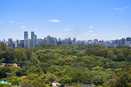巴西圣保罗市Ibirapuera公园交通风景绿色树木环境城市建筑学公园蓝色旅游图片
