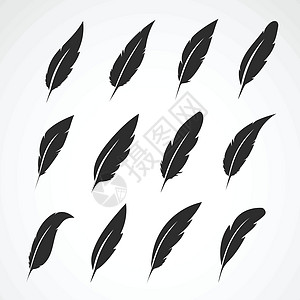 向量组的白色背景上的羽毛夹子插图墨水航班艺术草图翅膀鹅毛笔标识文学图片