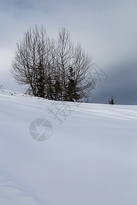覆盖着积雪和云雾的山岳天空风景丘陵场景松树森林晴天季节蓝色阴影图片