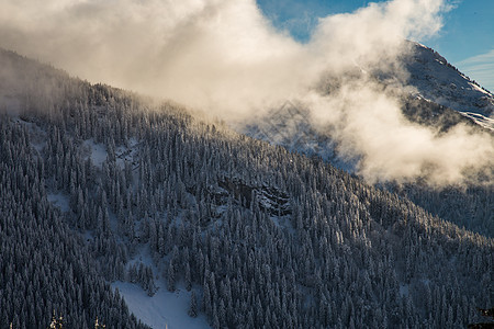 覆盖着积雪和云雾的山岳高地薄雾暴风雪荒野森林仙境环境气候降雪天空图片