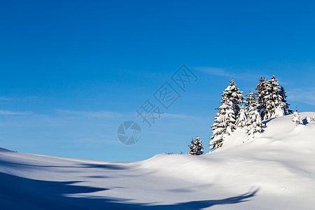 覆盖着积雪和云雾的山岳寒冷冻结天空季节松树风景晴天蓝色森林场景图片