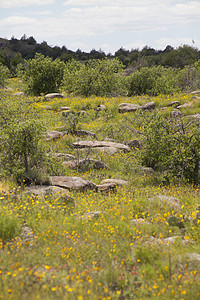 山区之路吸引力巨石岩石远足多样性生物草原荒野假期山脉图片