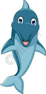 可爱的海豚卡通跳跃生活鼻子鲸目漫画野生动物动物脚蹼快乐乐趣插图图片