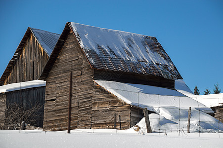 北安大略阳光下雪的谷仓牧场晴天古董房子乡村栅栏木头寒冷墙纸场地图片