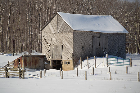 雪白的旧谷仓 有对角板和谷园风景农场农村乡村场地风化蓝色牧场房子国家木头图片
