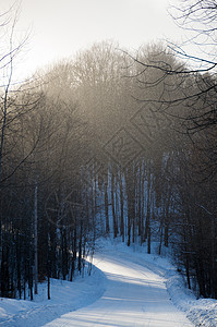 雪地和林地 在一片有阴影的雪平中天空分支机构暴风雪风暴阳光雪花森林车道场景农村图片