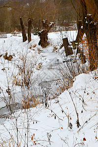 冬季河 有雪和冰森林天空叶子天气日落溪流木头分支机构蓝色公园图片