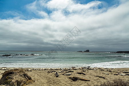 皮德拉斯布兰卡斯大象海豹碎片支撑天空岩石海象波浪海洋海岸海岸线图片