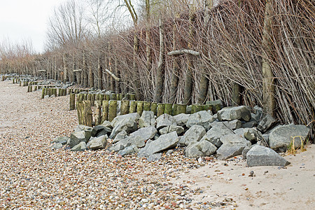 防洪洪水保护栅栏海滩碎石芦苇木头草丛贝壳图片