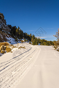 在希腊南佩罗蓬内塞的Ziria山上的雪路 冬日带松树图片