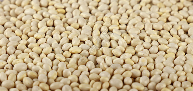 白色 frigole 芸豆特写背景烹饪团体扁豆豆类营养食物圆形背景图片