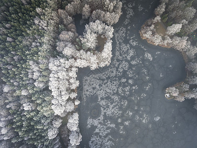 以雪覆盖的森林对冬季背景进行空中观察季节松树天线树木环境全景高度天气景观荒野图片