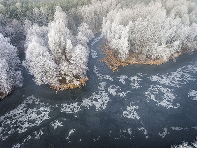 以雪覆盖的森林对冬季背景进行空中观察旅行全景环境景观树木季节荒野松树高度天线图片