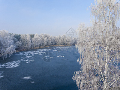 以雪覆盖的森林对冬季背景进行空中观察天线景观高度全景树木松树旅行荒野天气环境图片