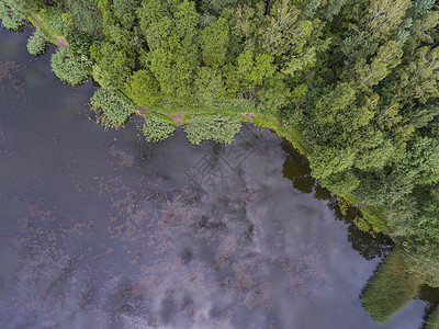 夏季风景 波兰河岸绿树的树木洪水树叶蓝色晴天旗帜林地森林池塘农村天空图片