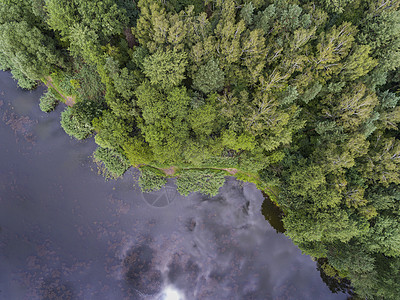 夏季风景 波兰河岸绿树的树木蓝色洪水国家湿地天空林地晴天菖蒲池塘旗帜图片