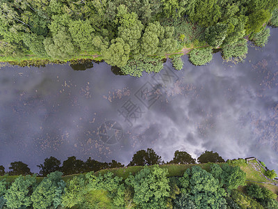 夏季风景 波兰河岸绿树的树木旗帜蓝色湿地沼泽池塘树叶林地洪水菖蒲国家图片