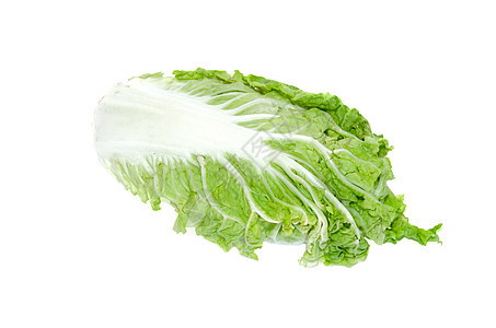 白卷心菜蔬菜树叶生产食物沙拉白色绿色图片