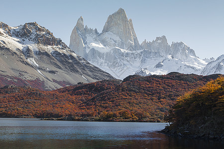 阿根廷El Chalten 巴塔哥尼亚州的秋天顶峰吸引力森林远足挑战冰川公园旅行蓝色天空图片