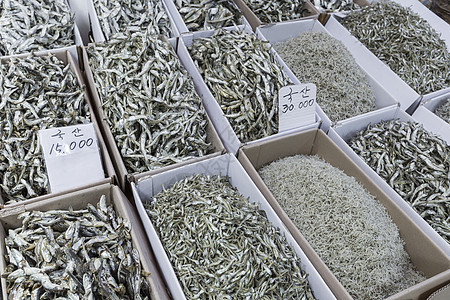 韩国干燥鱼市场食物盒子营养店铺烹饪章鱼海鲜标签美食销售图片