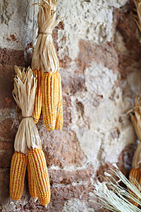 挂在砖墙上的一连串黄干玉米营养粮食蔬菜乡村房子农场收成木头植物食物背景