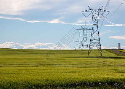 农场用电线路场地天空农业地平线土地蓝色线条国家电力小麦图片