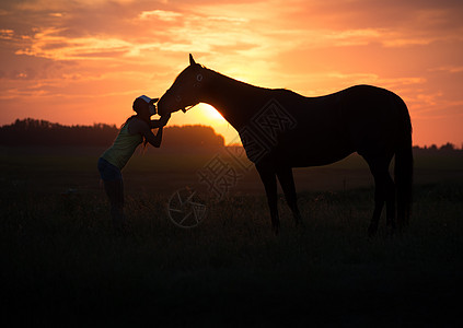女孩在日落时吻她的马图片