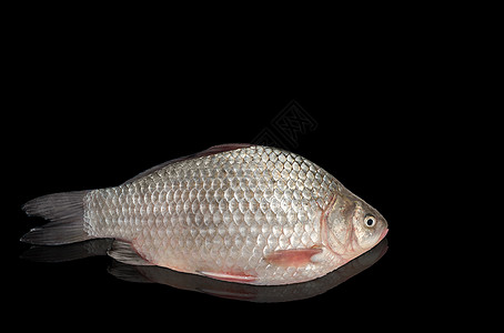 黑色背景的原始淡水鱼类反射尾巴食品厨房饮食水平营养做饭图片