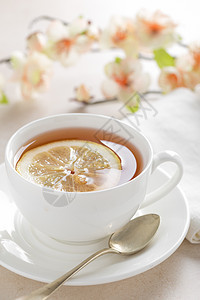 白背景的柠檬茶杯饮料草本液体茶碗早餐白色食物桌子图片
