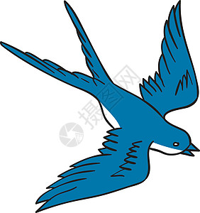 燕子飞下来画刮板飞行草图手绘翅膀动物画线艺术品插图手工图片