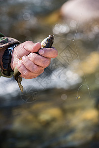 抓获的扣押渔民垂钓者飞鱼渔夫爱好荒野鱼钩活动溪流淡水卷轴图片