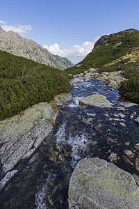 罗兹托卡谷 塔特拉国家公园 塔特尔高地的罗兹托卡河流山腰国家首脑蓝色溪流兴趣林地风景顶峰岩石图片