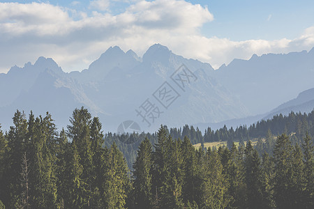 从徒步足迹看塔特拉山脉 波兰 欧洲爬坡旅游岩石阳光抛光风景松树反射旅行晴天图片