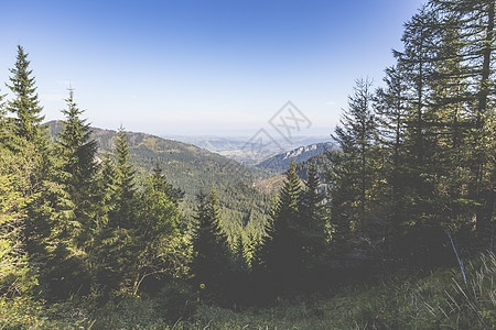 从徒步足迹看塔特拉山脉 波兰 欧洲顶峰森林旅游小路松树公园晴天天空全景蓝色图片