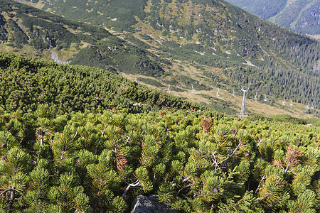 从徒步足迹看塔特拉山脉 波兰 欧洲爬坡森林旅游旅行奥科反射公园晴天天空小路图片