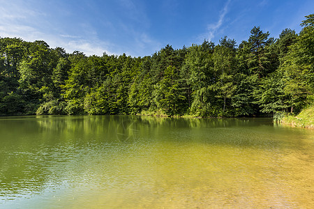 湖和森林的夏月风景与镜像反射蓝色海浪森林血管海岸帆船石头假期木头导航图片
