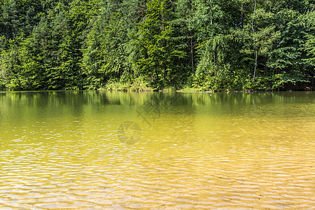 湖和森林的夏月风景与镜像反射运动蓝色海浪石头血管反射假期木头旅游游艇图片