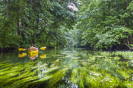 波兰罗斯普达河上的凯亚克运动员环境独木舟旅行荒野流动森林娱乐运动皮艇图片