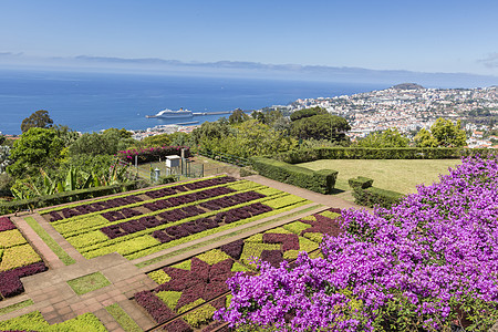 马德拉伊兰Funchal镇著名的热带植物园天空植物学植物群衬套小路长椅天堂花园异国树叶图片