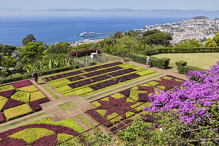 马德拉伊兰Funchal镇著名的热带植物园天堂天空植物学小路棕榈蓝色植物公园树叶长椅图片