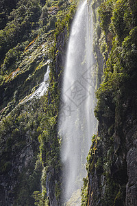 不可思议的斯迪林瀑布 有双彩 米尔福德音 菲天堂旅行峡湾顶峰假期情调瀑布白内障异国荒野图片